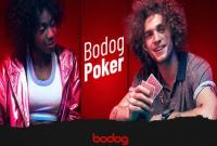 Opinião Poker Bodog: Jogadores Agressivos